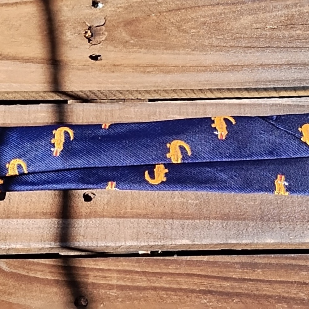 Navy & Orange Alligator Tie - Picture 6 of 10